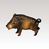 Wildschwein