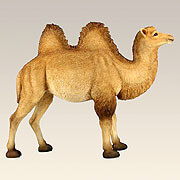 Großes Kamel mit Decke 35 cm