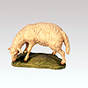 Schaf grasend