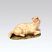 Schaf liegend Blick nach rechts