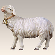 Schaf geradeaus schauend mit Glocke