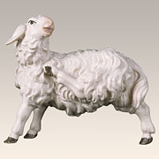 Krippenfigur · Schaf kratzend Nr. 700136-12