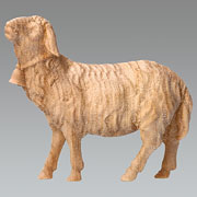 Schaf geradeaus schauend mit Glocke