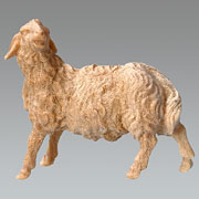 Schaf stehend Blick links