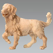 Vergrößern Hirtenhund