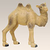 Kamel Jungtier stehend Höhe 5,9 cm